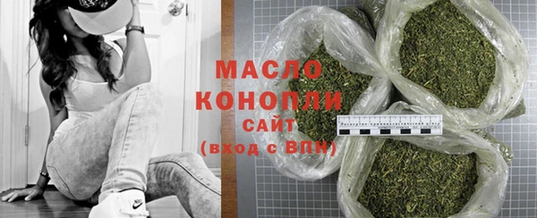 прущий лед Богданович