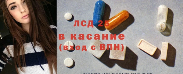 прущий лед Богданович