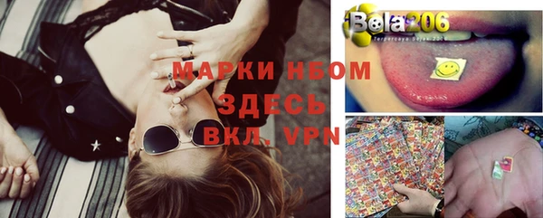 прущий лед Богданович